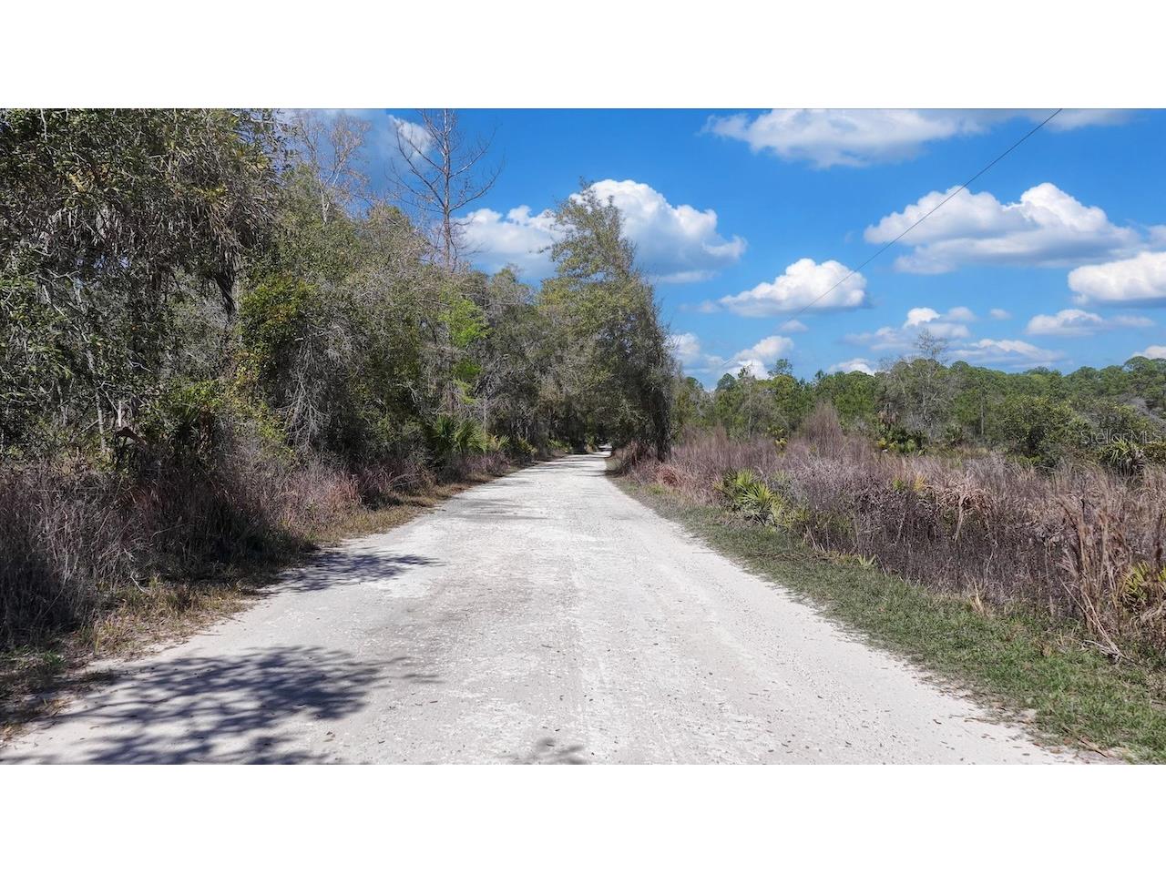 Shiloh Road Cedar Key FL 32625 OM720272 image14