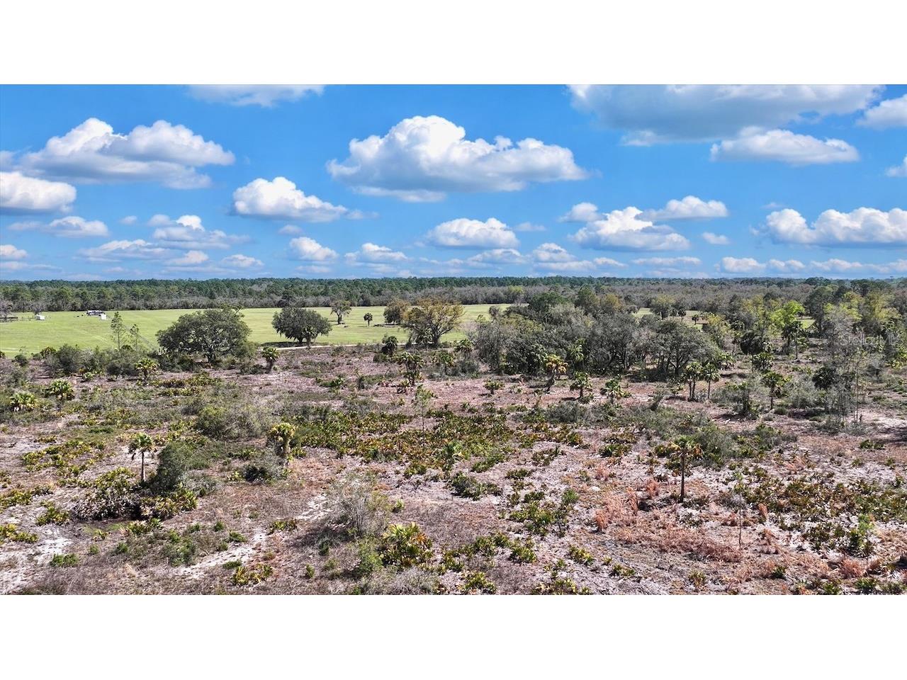 Shiloh Road Cedar Key FL 32625 OM720272 image15