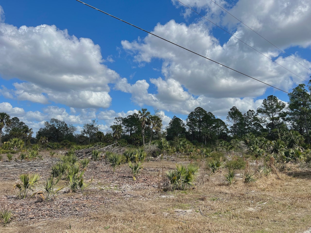 Shiloh Road Cedar Key FL 32625 OM720272 image4