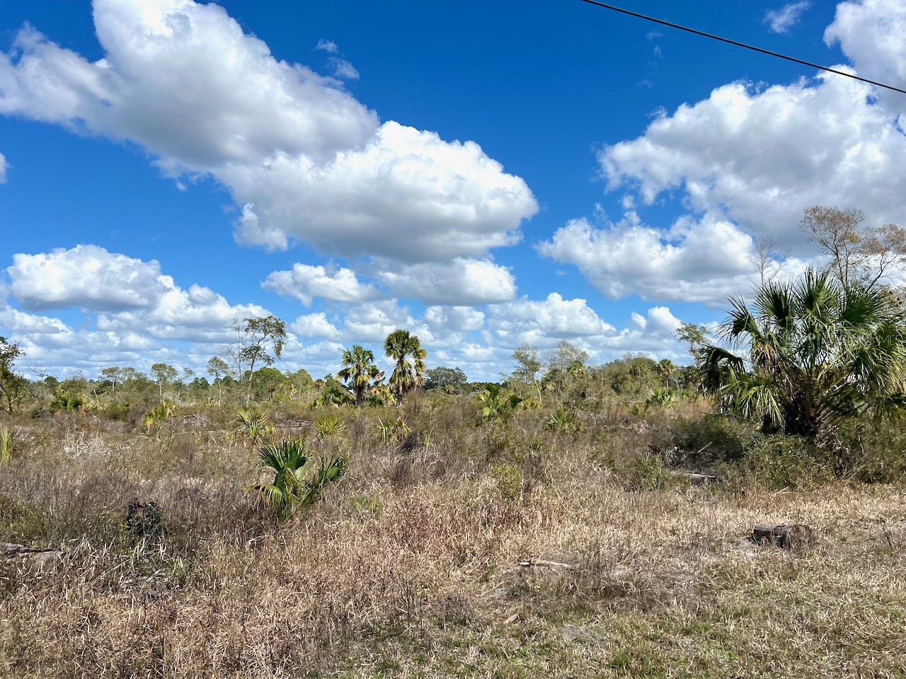 Shiloh Road Cedar Key FL 32625 OM720272 image5