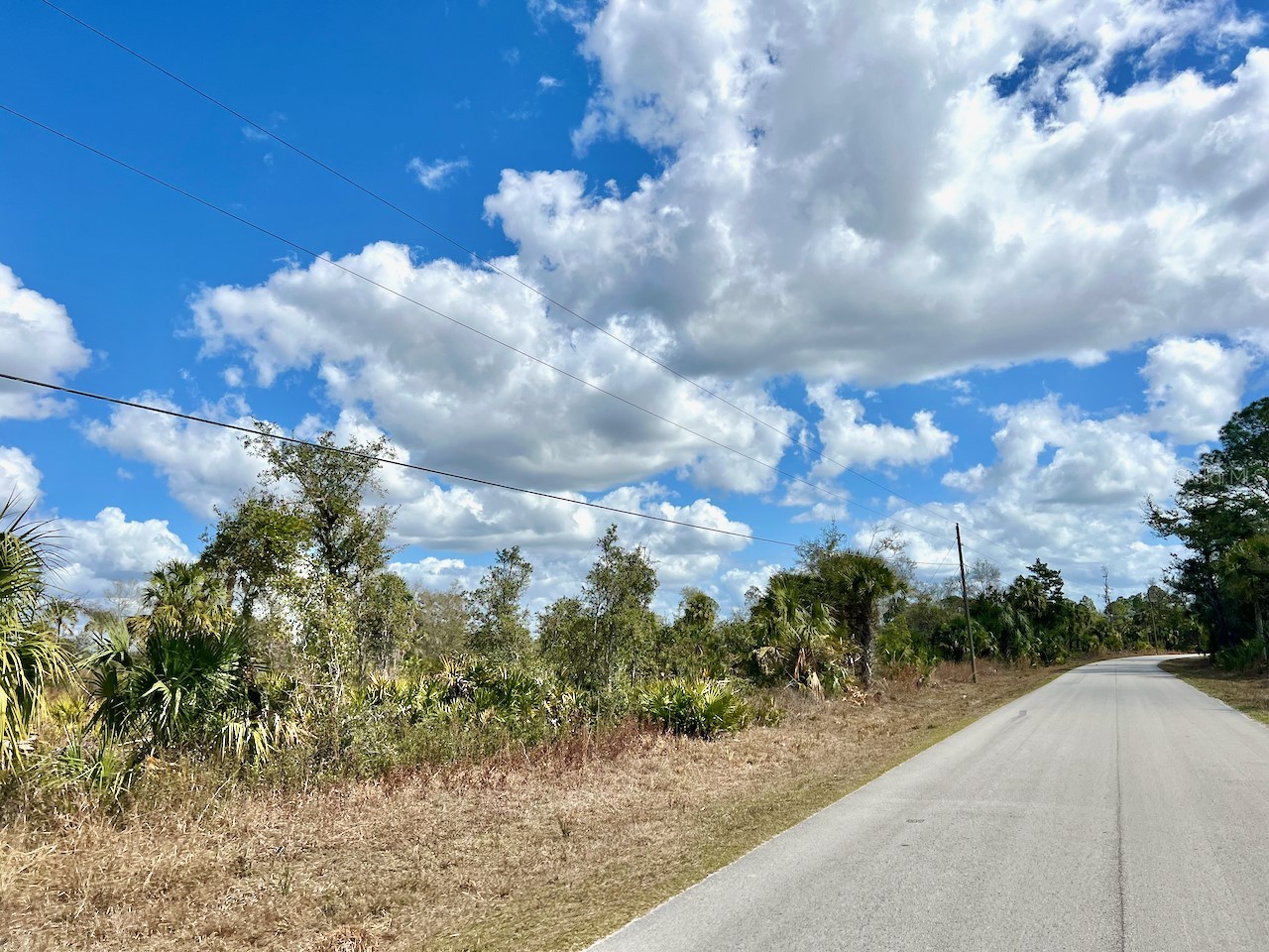 Shiloh Road Cedar Key FL 32625 OM720272 image6