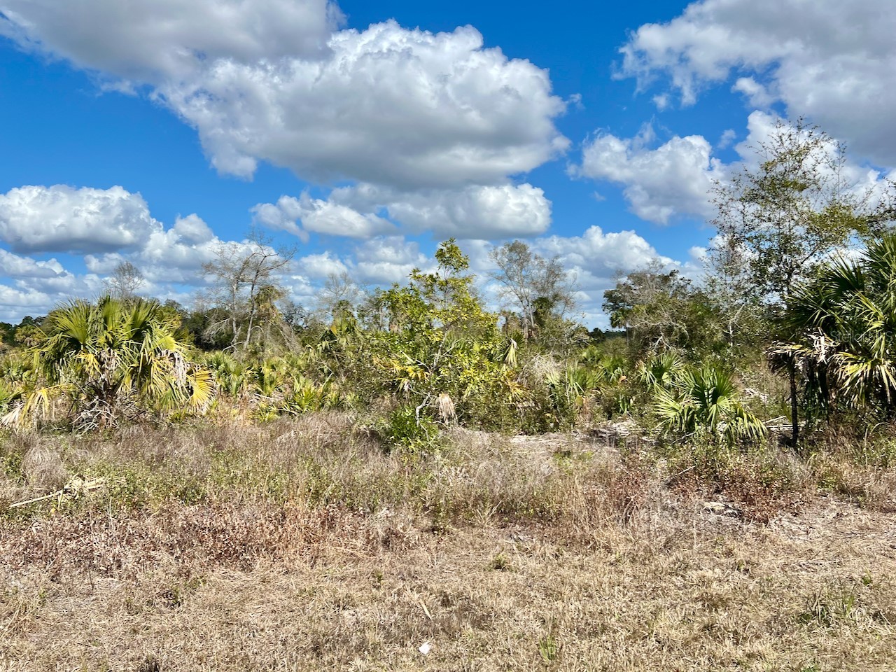 Shiloh Road Cedar Key FL 32625 OM720272 image7