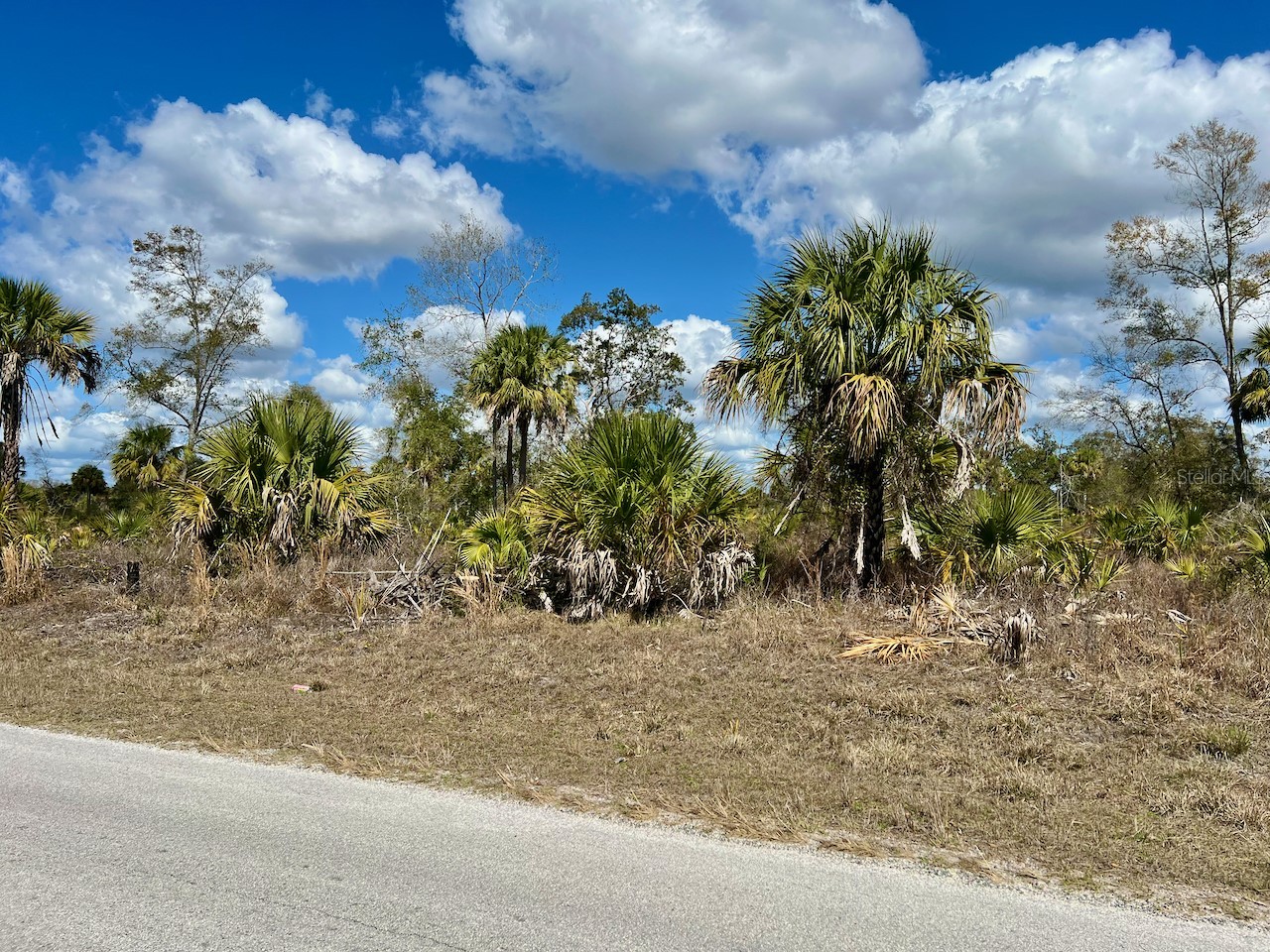 Shiloh Road Cedar Key FL 32625 OM720272 image8