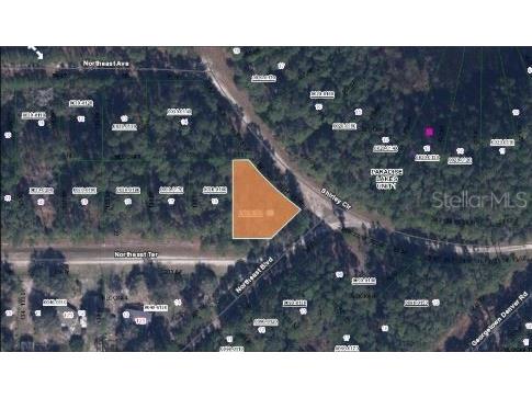 Shirley Cir Georgetown FL 32139 O6231637 image2