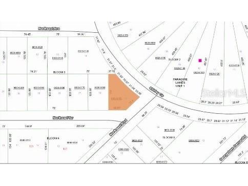 Shirley Cir Georgetown FL 32139 O6231637 image3