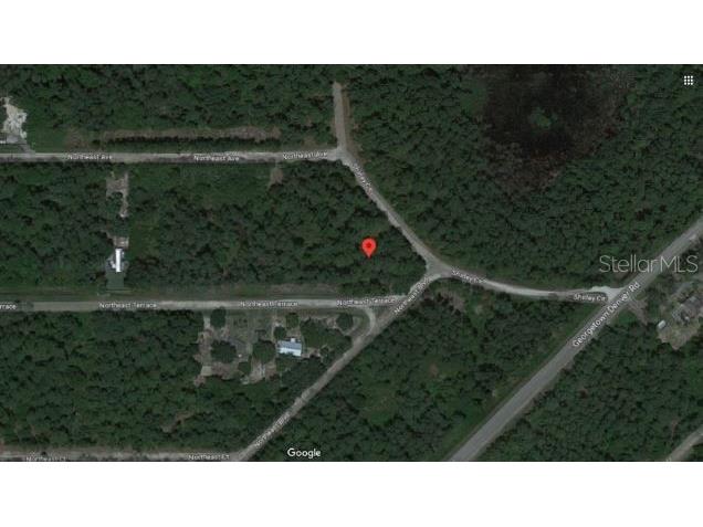 Shirley Cir Georgetown FL 32139 O6231637 image4