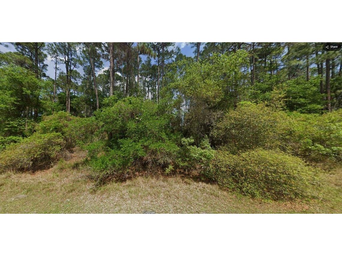 Shirley Cir Georgetown FL 32139 O6231637 image6