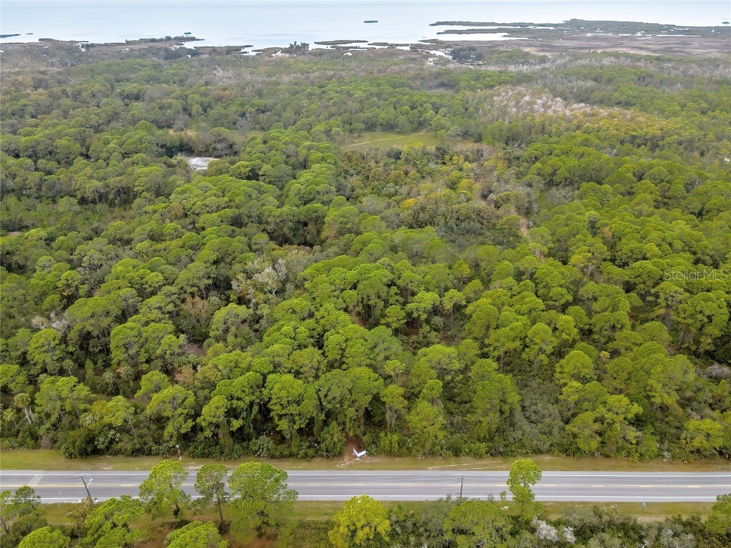 Shoal Line Boulevard Spring Hill FL 34607 W7878943 image4