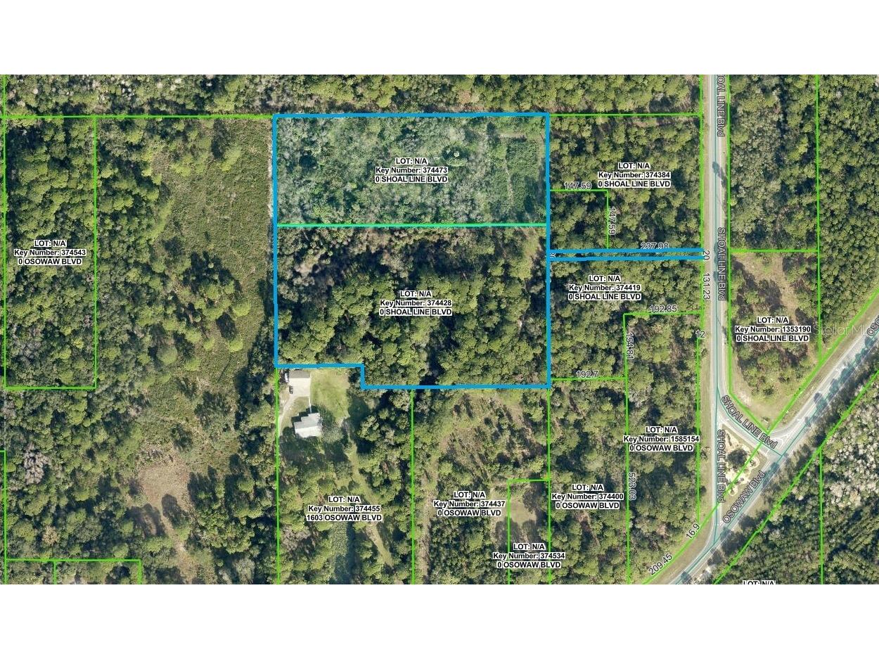 Shoal Line Boulevard Spring Hill FL 34607 W7878943 image6