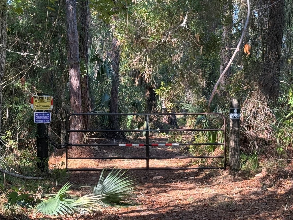 Shoal Line Boulevard Spring Hill FL 34607 W7878943 image7