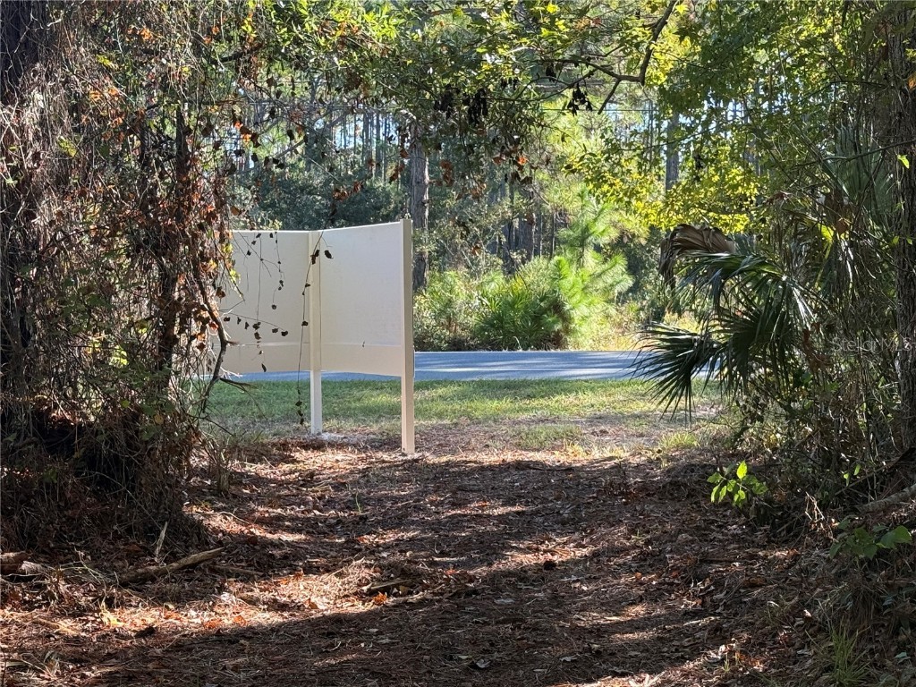 Shoal Line Boulevard Spring Hill FL 34607 W7878943 image9