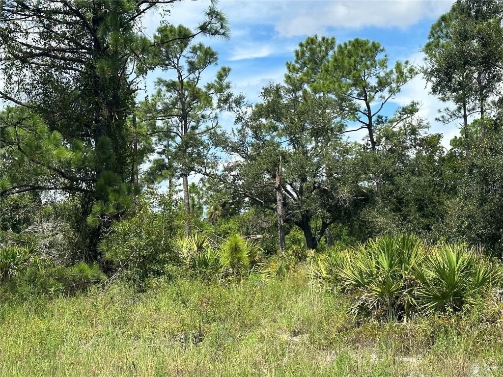 Shore Court North Port FL 34288 C7480076 image1