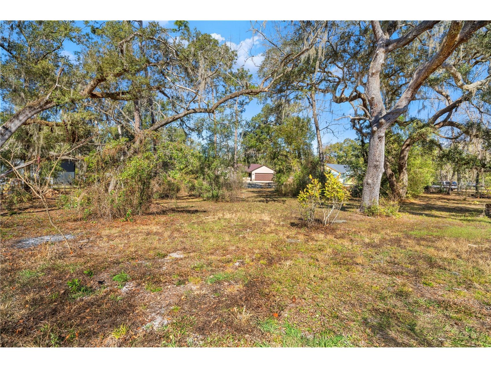 Shorewood Drive Dade City FL 33523 TB8470835 image2