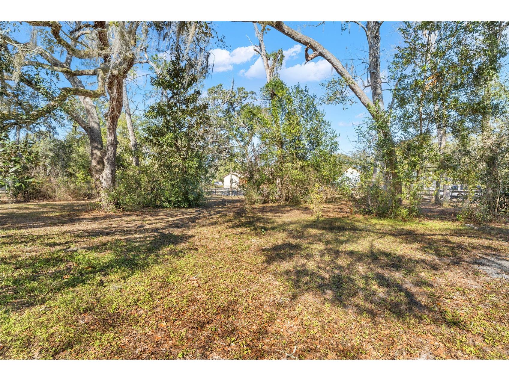 Shorewood Drive Dade City FL 33523 TB8470835 image3