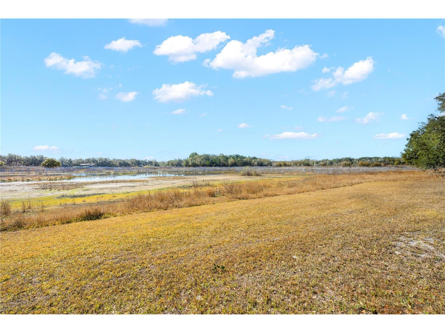 Shorewood Drive Dade City FL 33523 - Lake Geneva TB8470866 image1