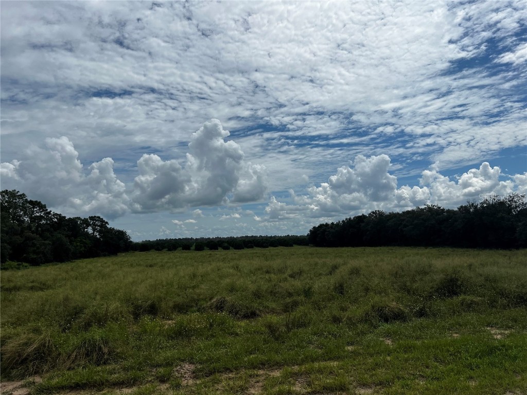 Sils Road Lake Wales FL 33898 K4902648 image1