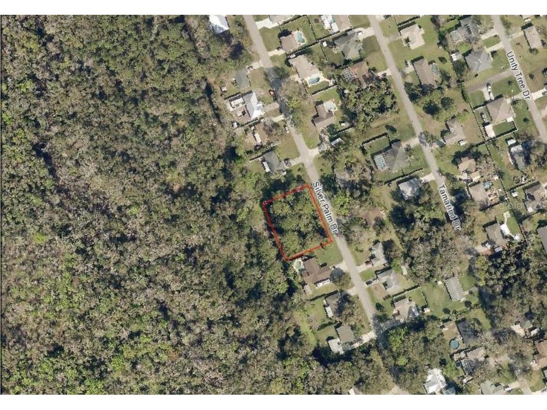 Silver Palm Drive Edgewater FL 32141 G5082202 image4