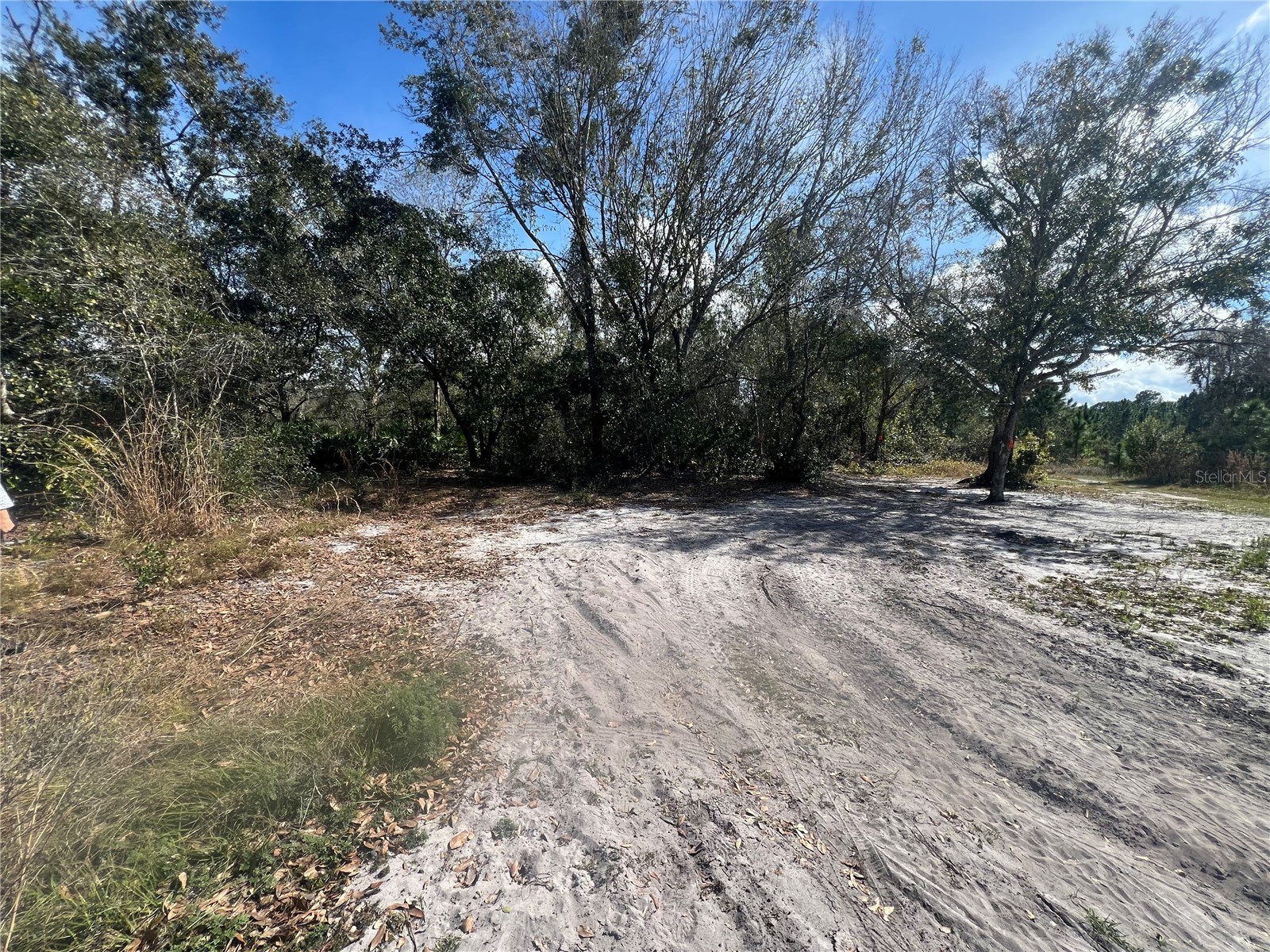 Silver Palm Drive Indian Lake Estates FL 33855 P4937639 image11