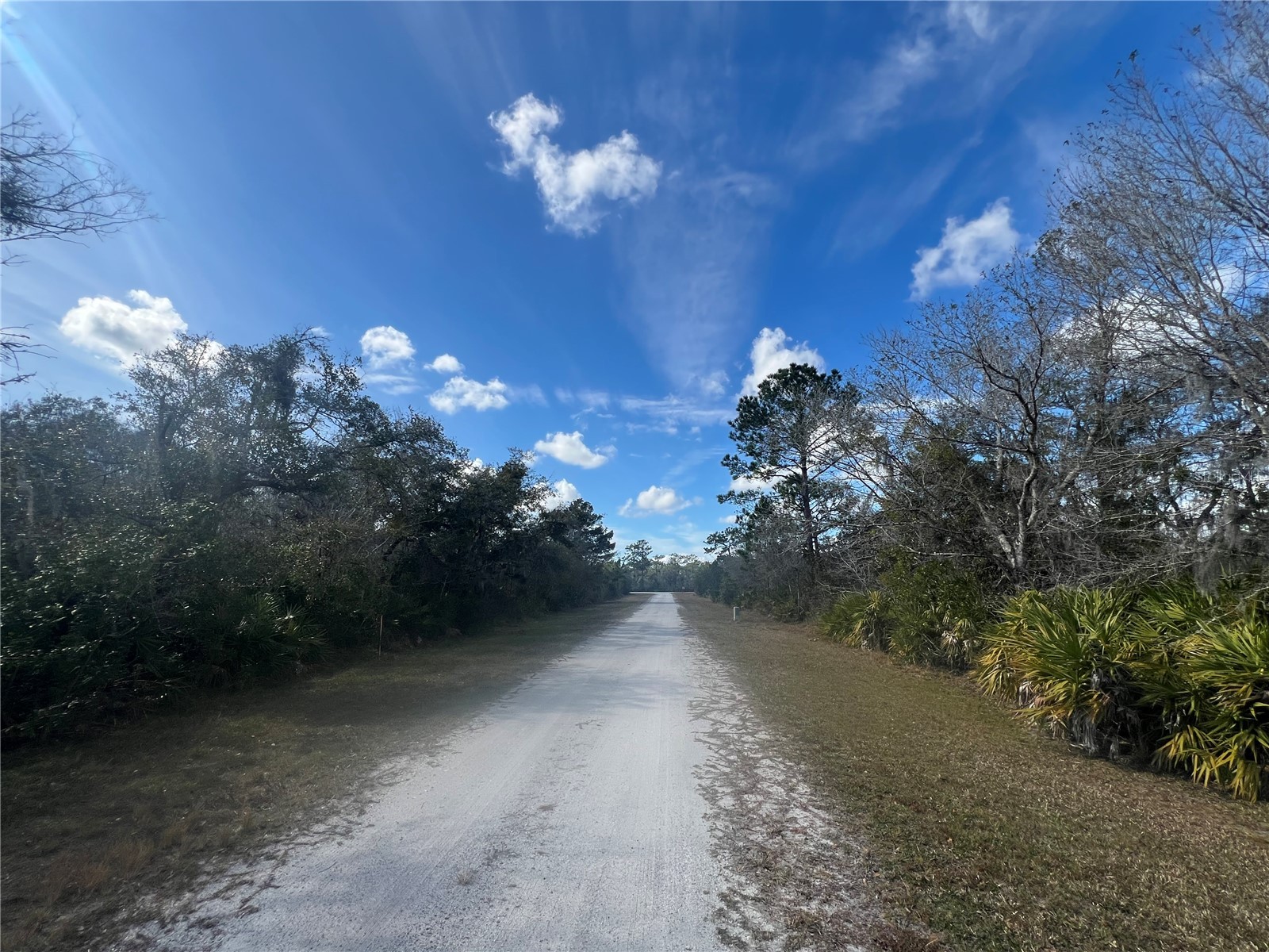Silver Palm Drive Indian Lake Estates FL 33855 P4937639 image2