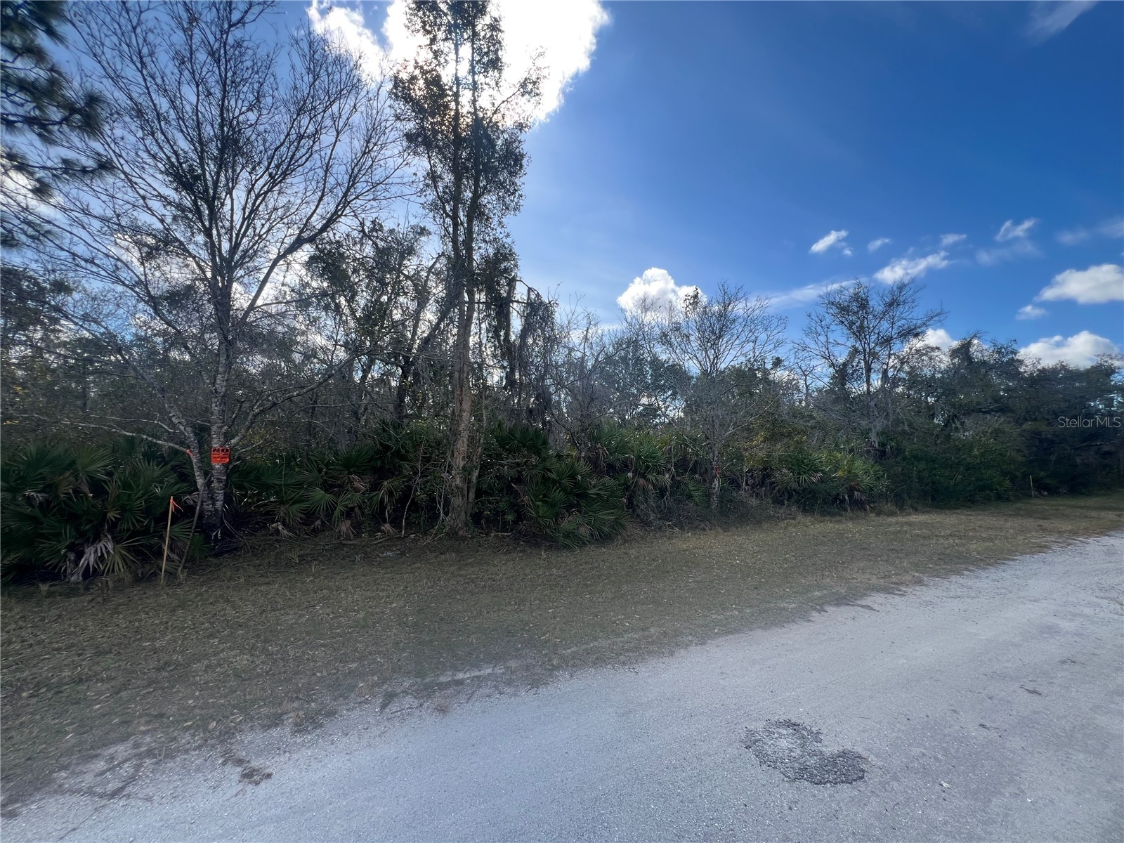 Silver Palm Drive Indian Lake Estates FL 33855 P4937639 image3