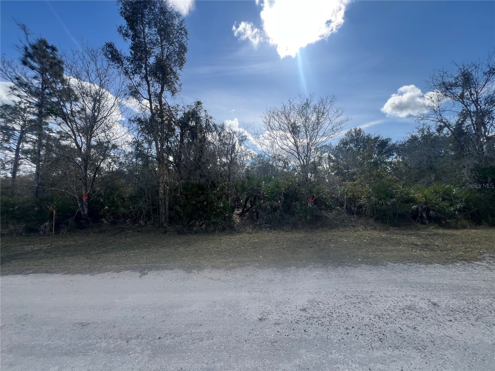 Silver Palm Drive Indian Lake Estates FL 33855 P4937639 image5