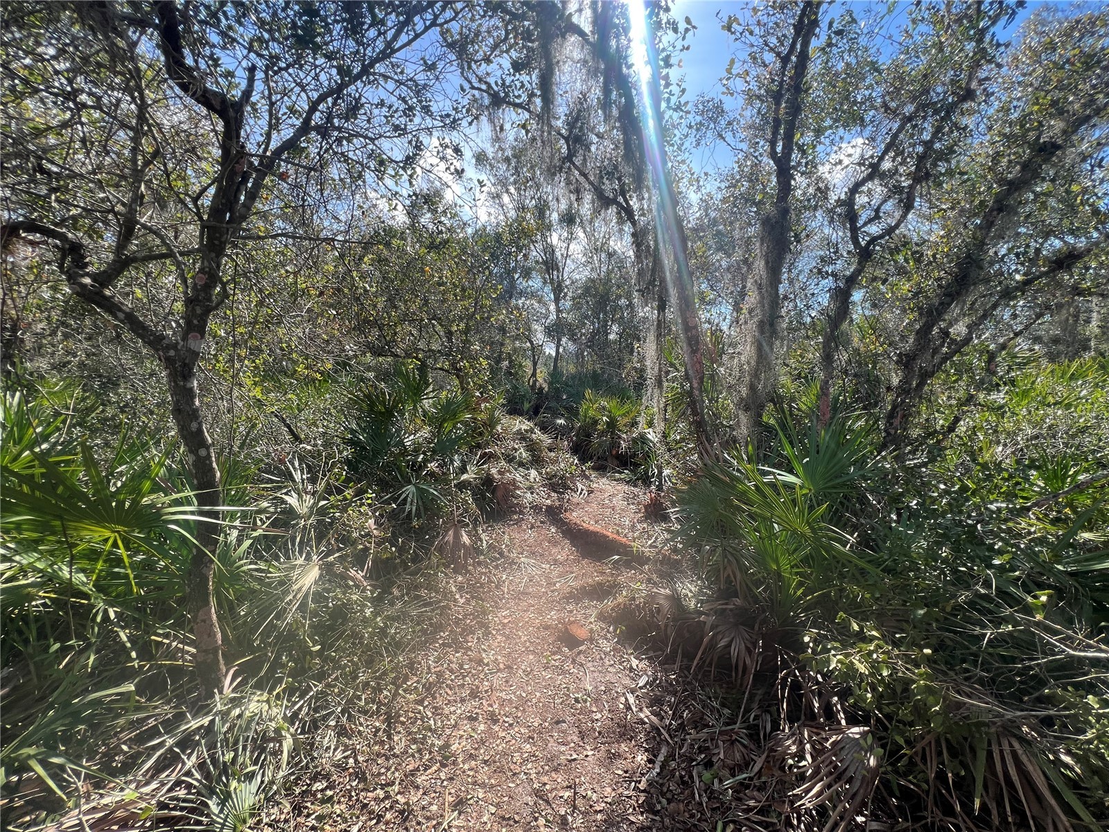 Silver Palm Drive Indian Lake Estates FL 33855 P4937639 image6