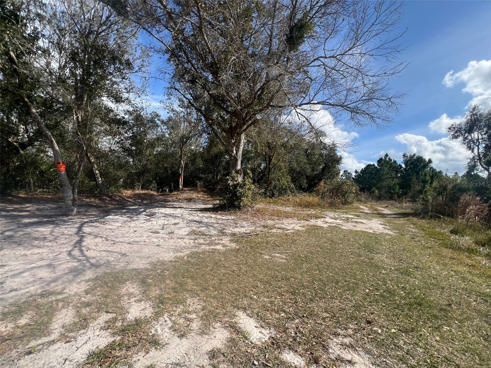 Silver Palm Drive Indian Lake Estates FL 33855 P4937639 image9