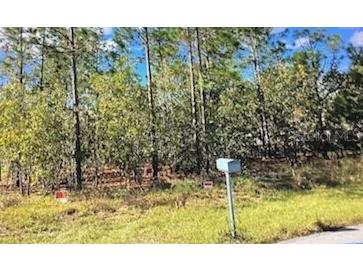 Silver Springs Shores Ocala FL 34472 O6321404 image2