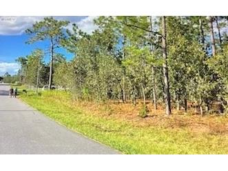 Silver Springs Shores Ocala FL 34472 O6321404 image3