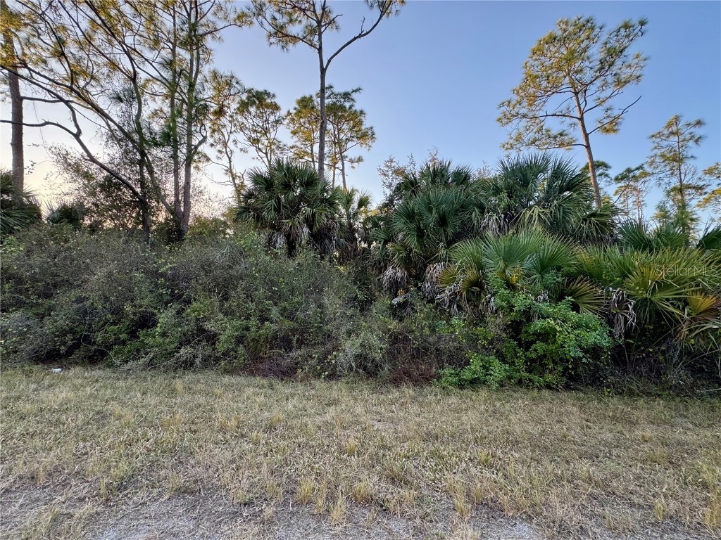 Silverleaf Road North Port FL 34288 A4675297 image7