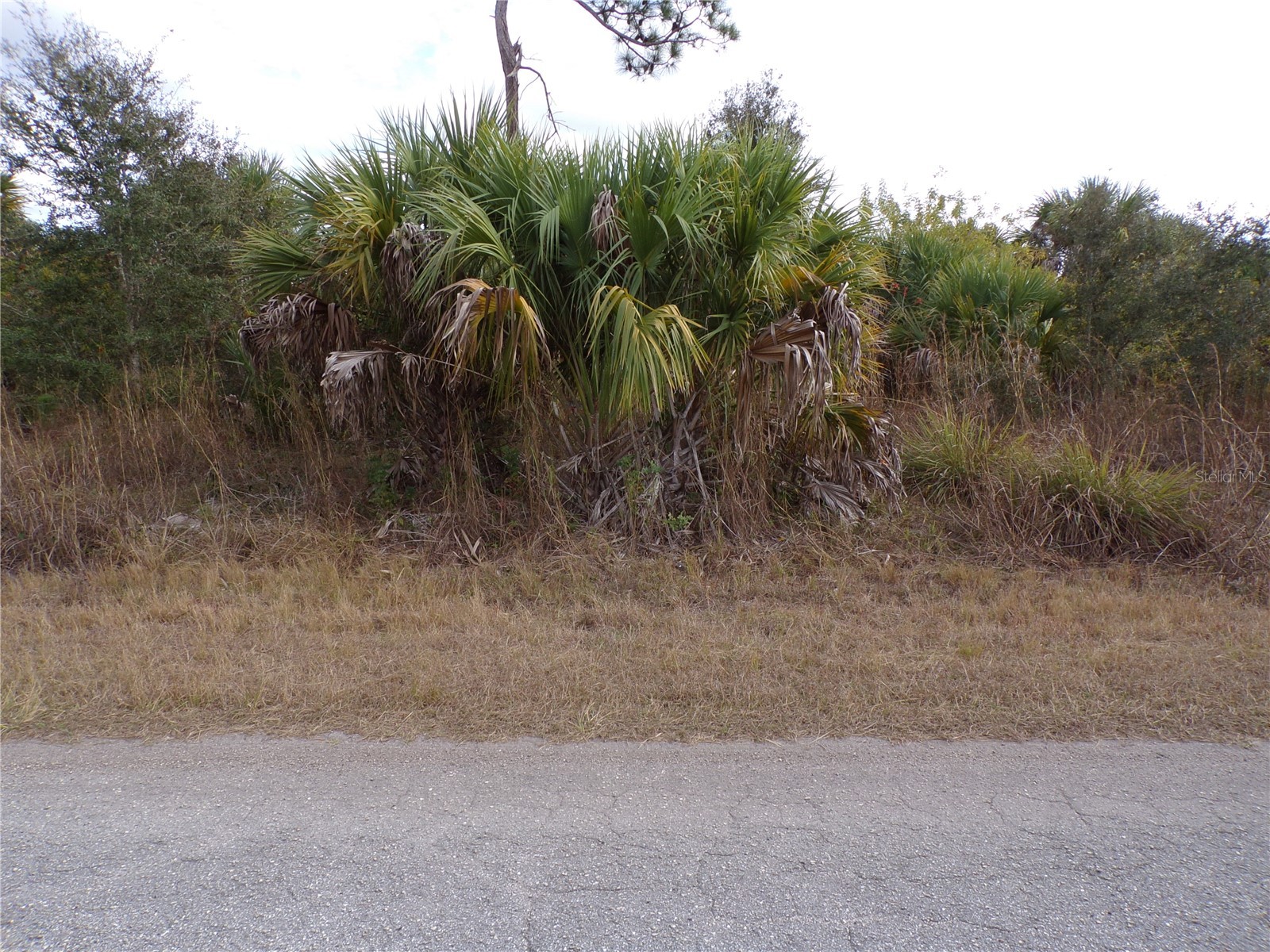 Silverleaf Road North Port FL 34288 C7520147 image1