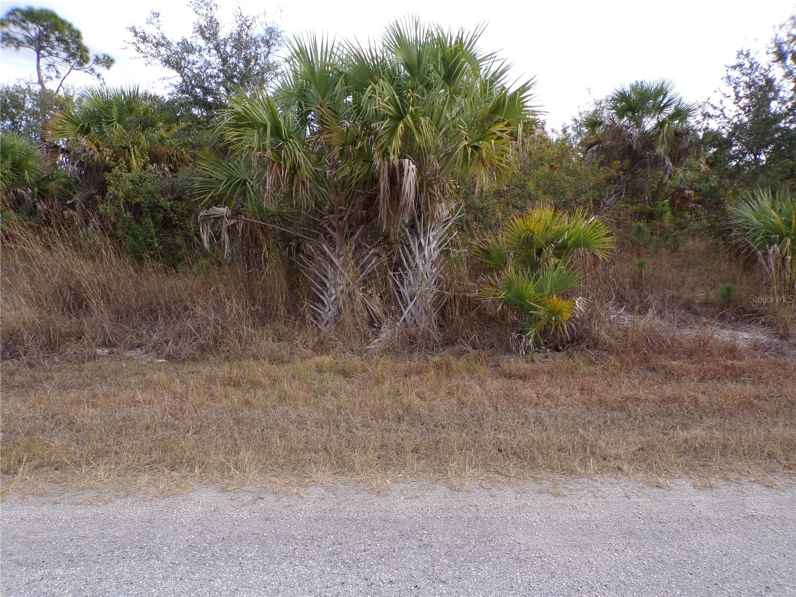 Silverleaf Road North Port FL 34288 C7520147 image2