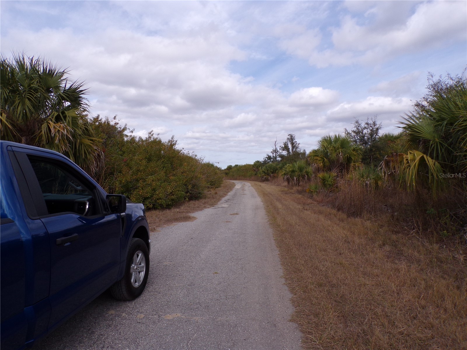 Silverleaf Road North Port FL 34288 C7520147 image8