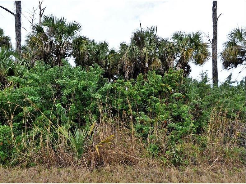 Silverleaf Road North Port FL 34288 O6196391 image2