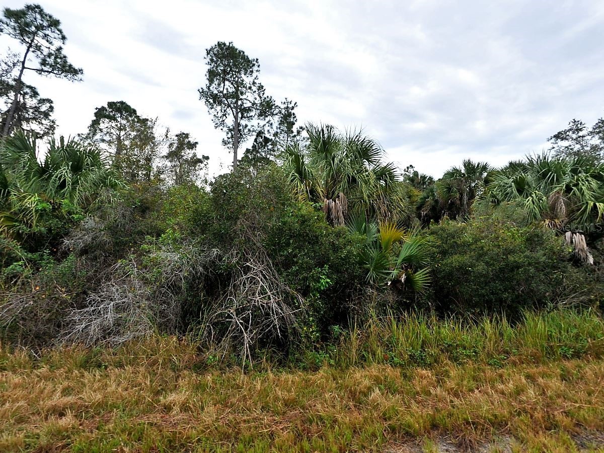 Silverleaf Road North Port FL 34288 W7883331 image1