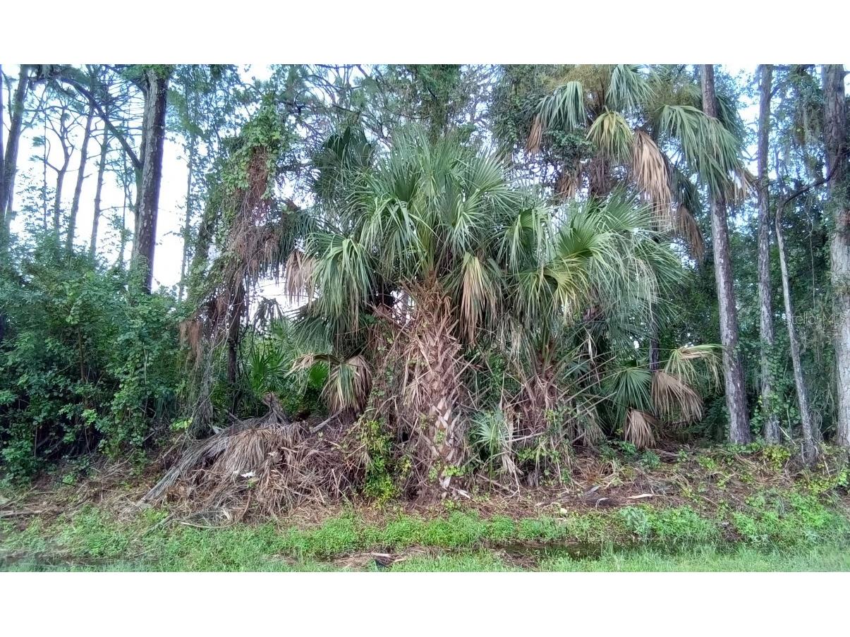 Simkins Avenue #LOT 46 North Port FL 34286 O6146339 image1