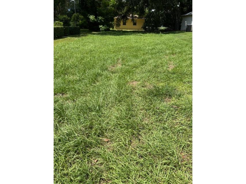 Simmons Road Lakeland FL 33811 L4947330 image1