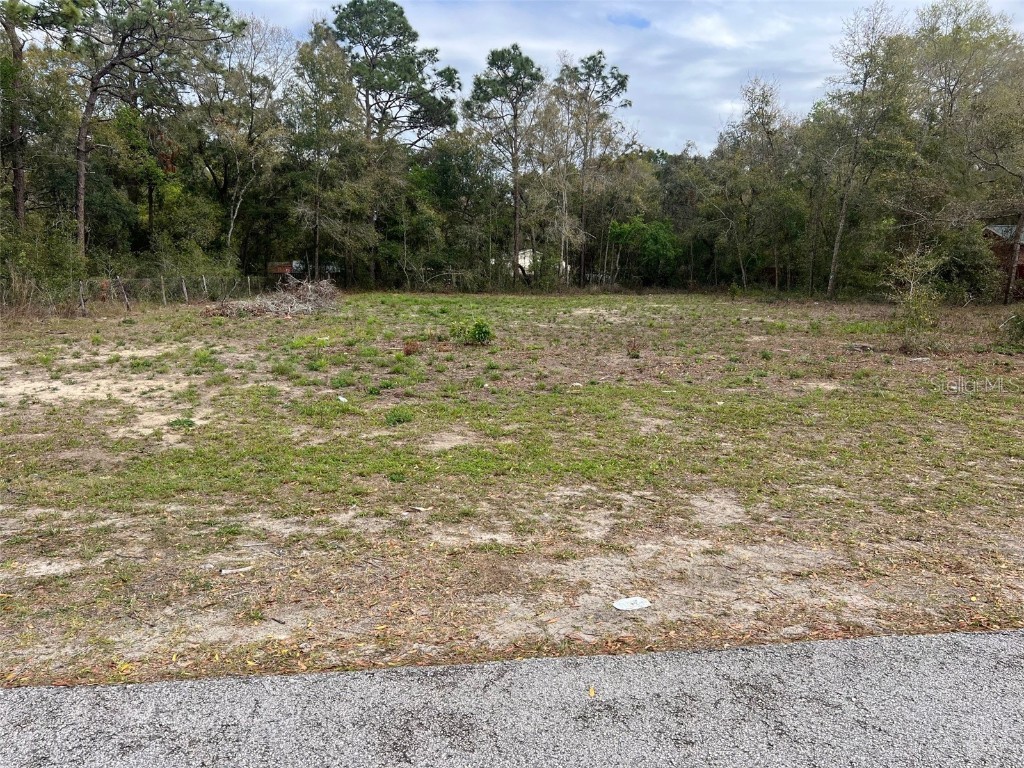 Simmons Street Brooksville FL 34613 TB8363149 image1