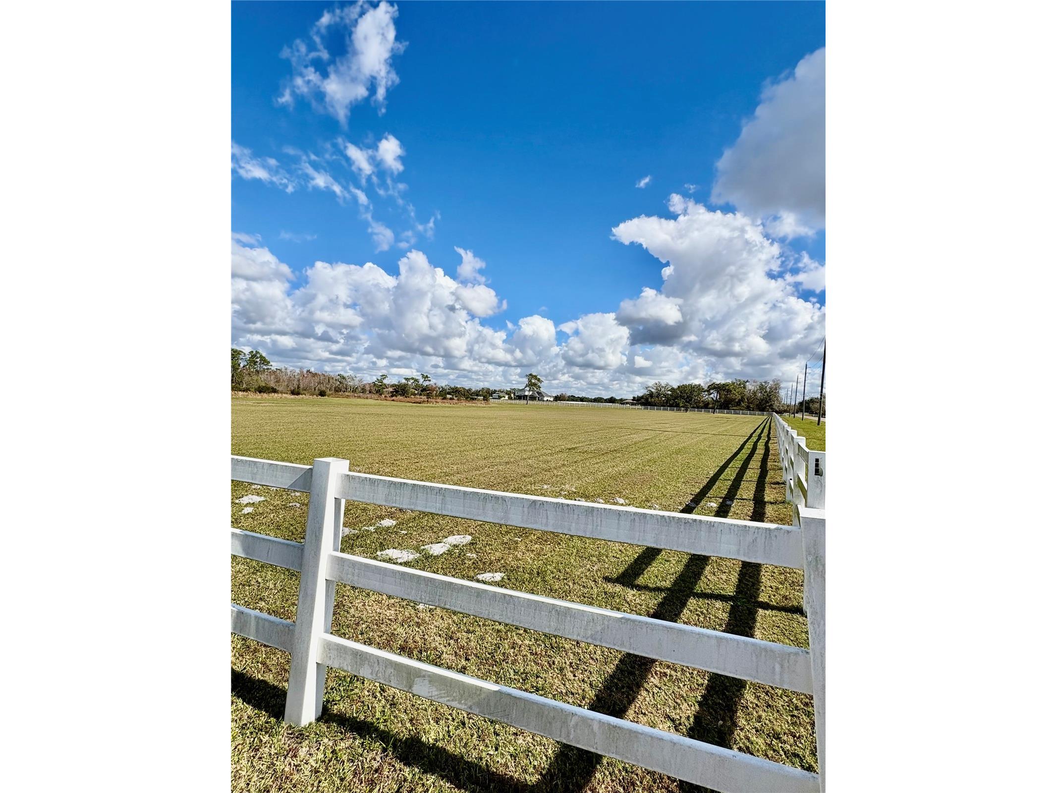 Singletary Road Sarasota FL 34240 TB8463100 image1