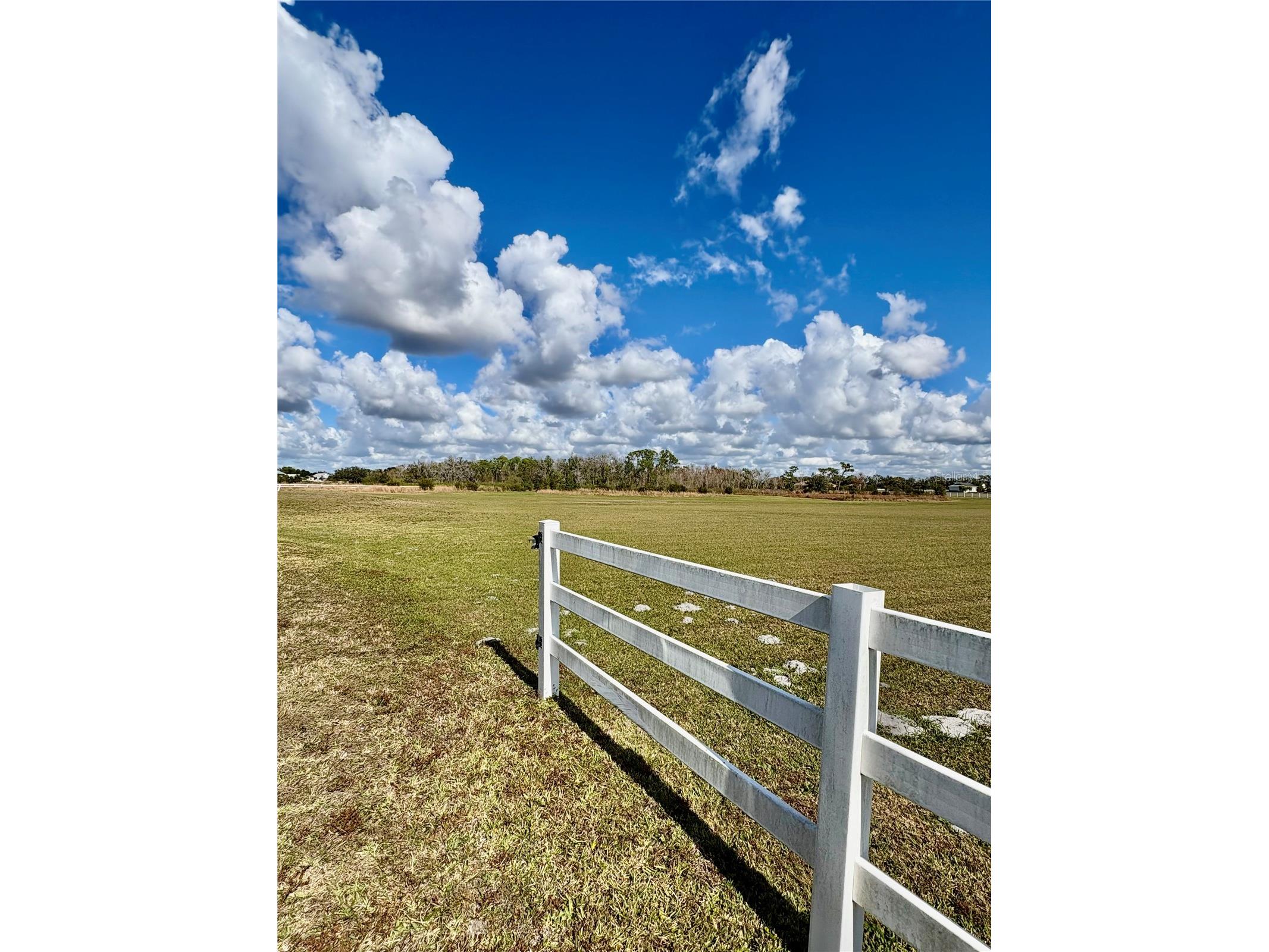 Singletary Road Sarasota FL 34240 TB8463100 image2