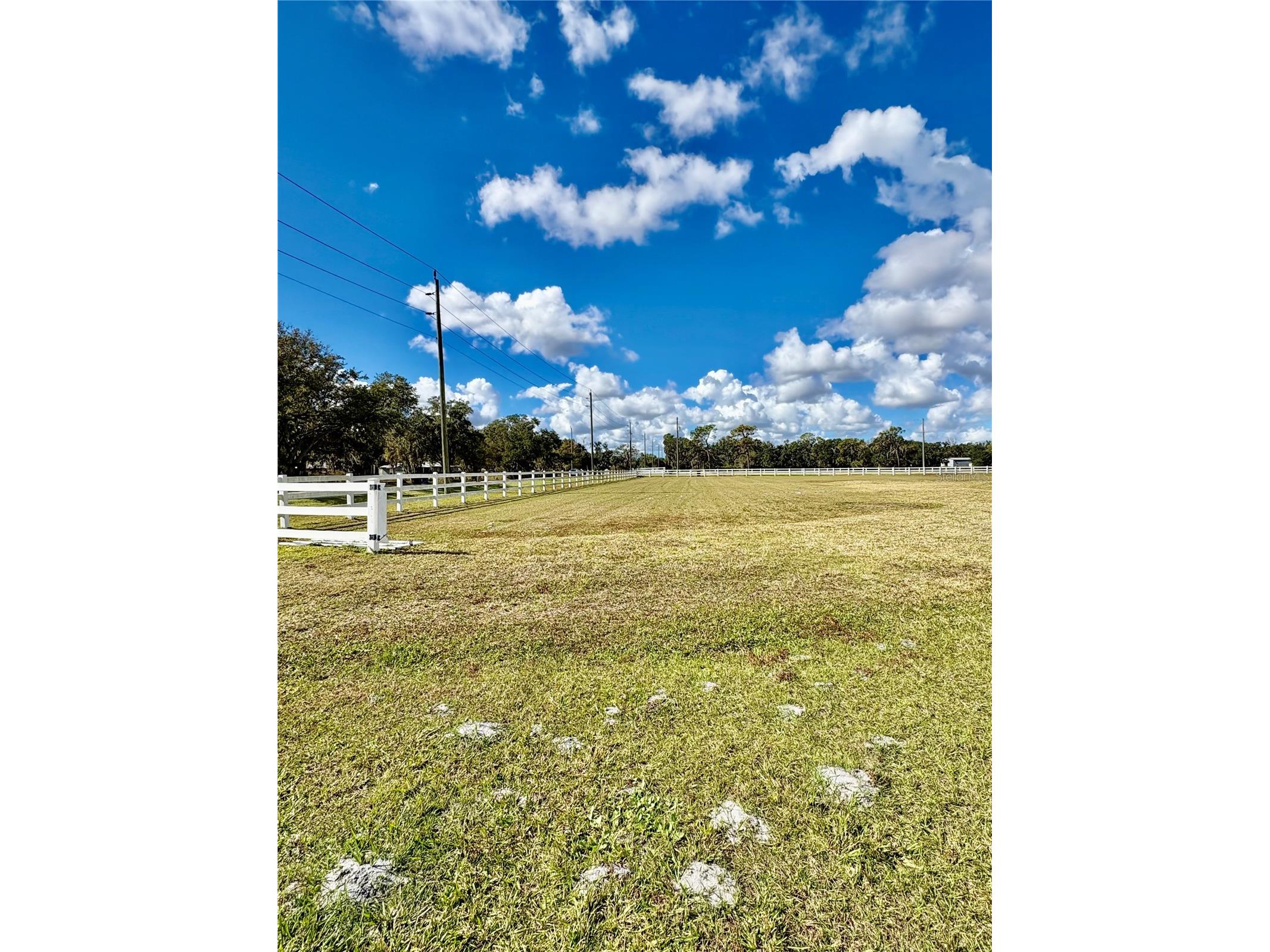 Singletary Road Sarasota FL 34240 TB8463100 image4