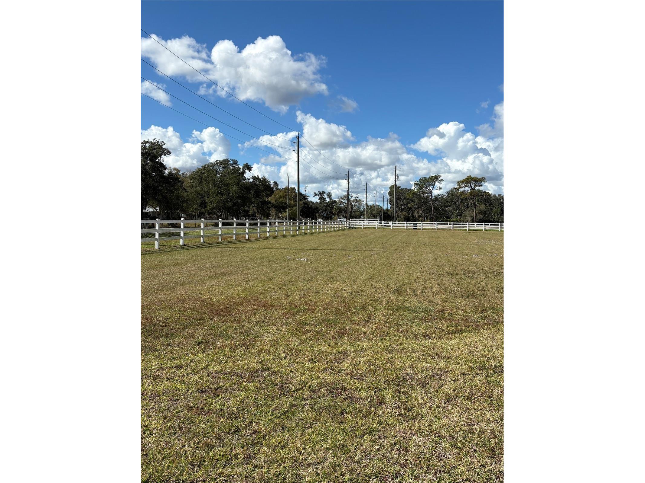Singletary Road Sarasota FL 34240 TB8463100 image5