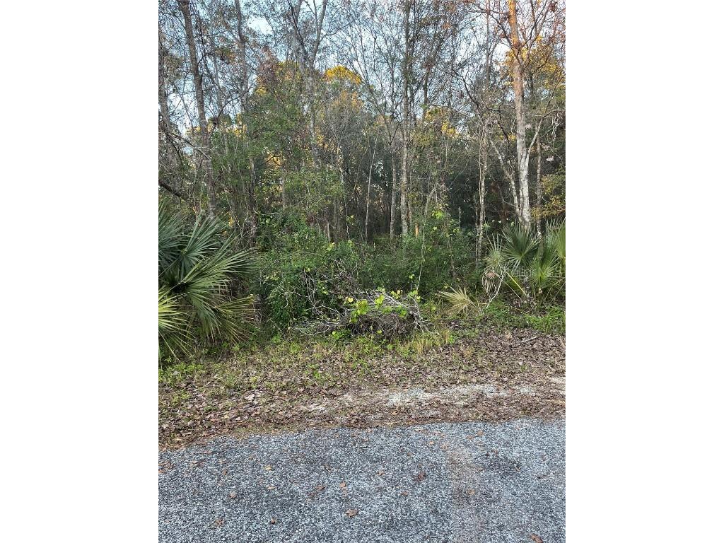 Sioux Trail Kissimmee FL 34747 W7851555 image1