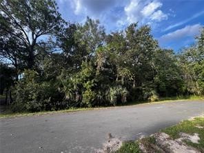 Sioux Trail Kissimmee FL 34747 O6422199 image1