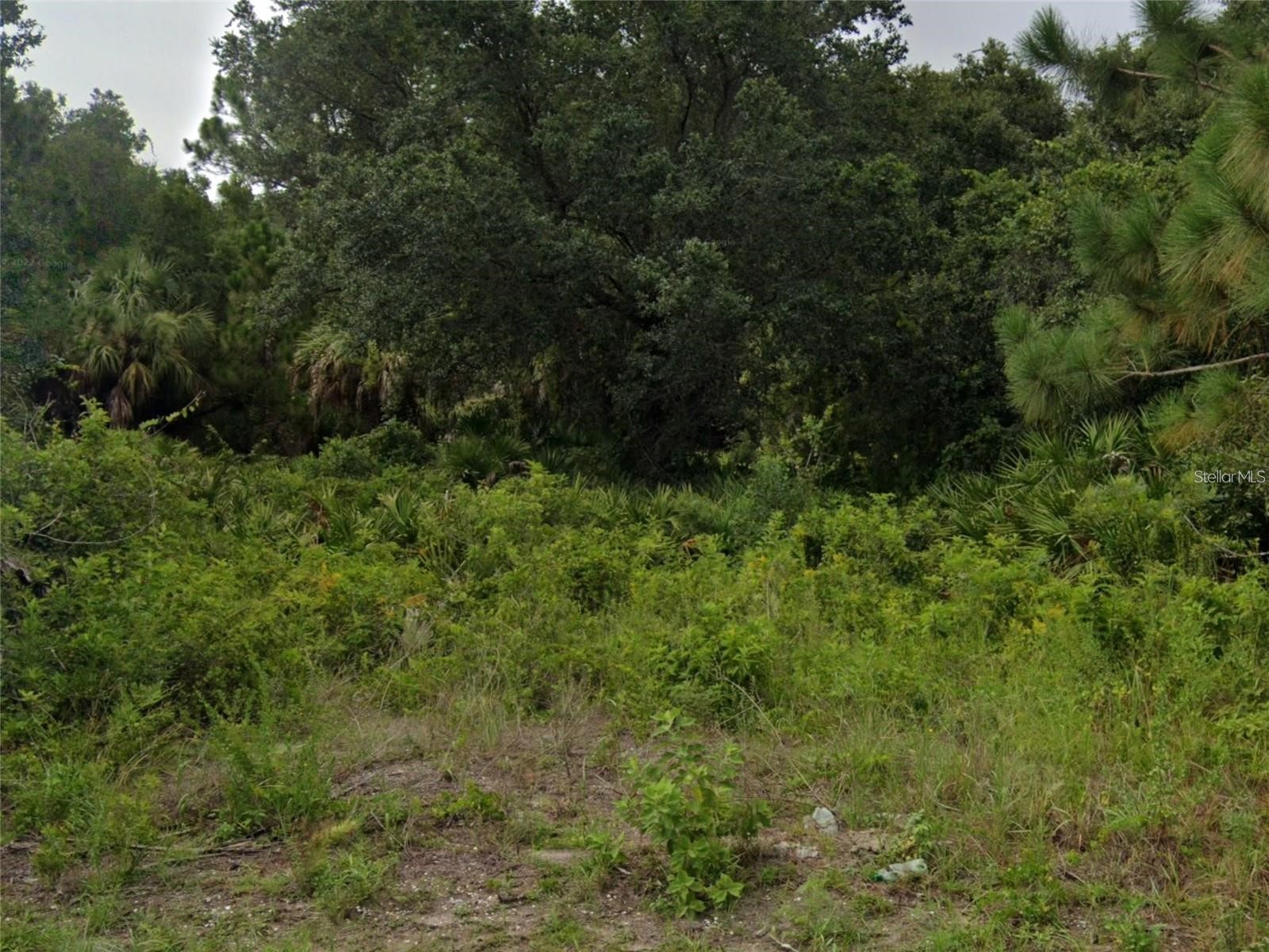 Skile Road North Port FL 34287 N6142688 image3