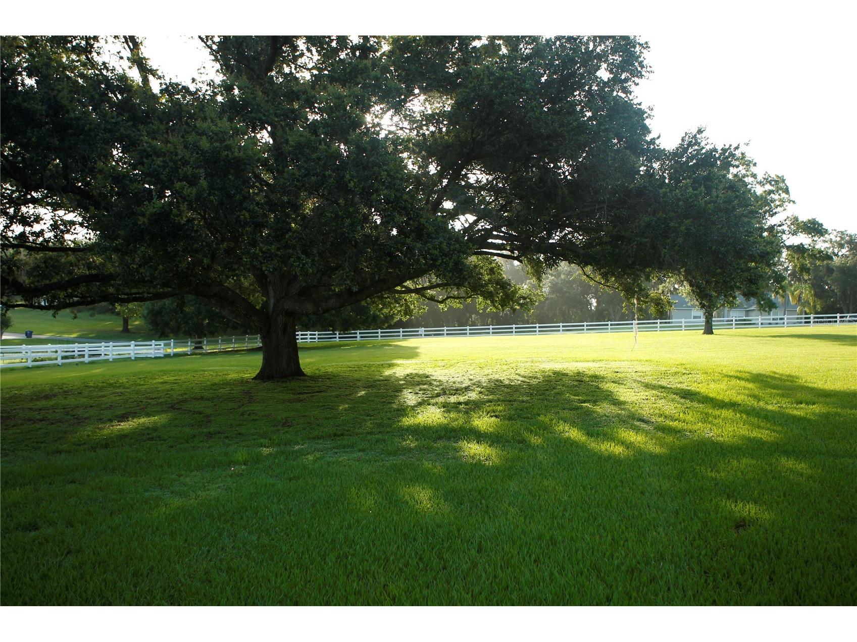 Sky Ridge Circle Dade City FL 33525 TB8394141 image1