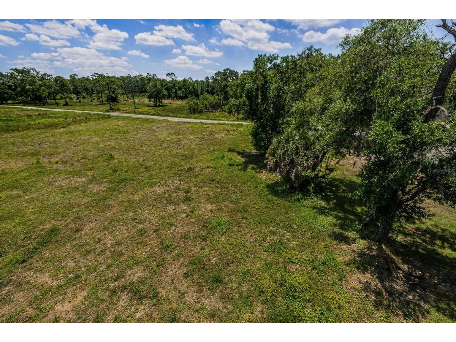 110 Skytrail Tampa FL 33625 TB8485308 image1