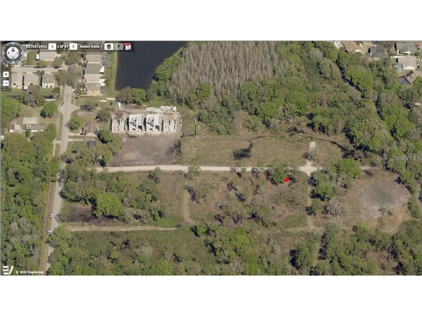110 Skytrail Tampa FL 33625 TB8485308 image3