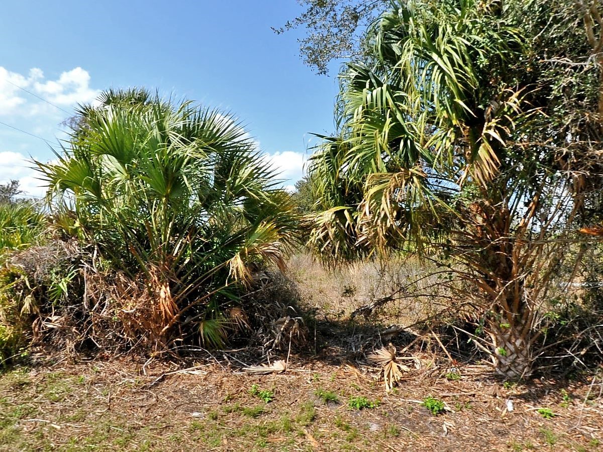 Skyview Drive North Port FL 34291 C7524693 image3
