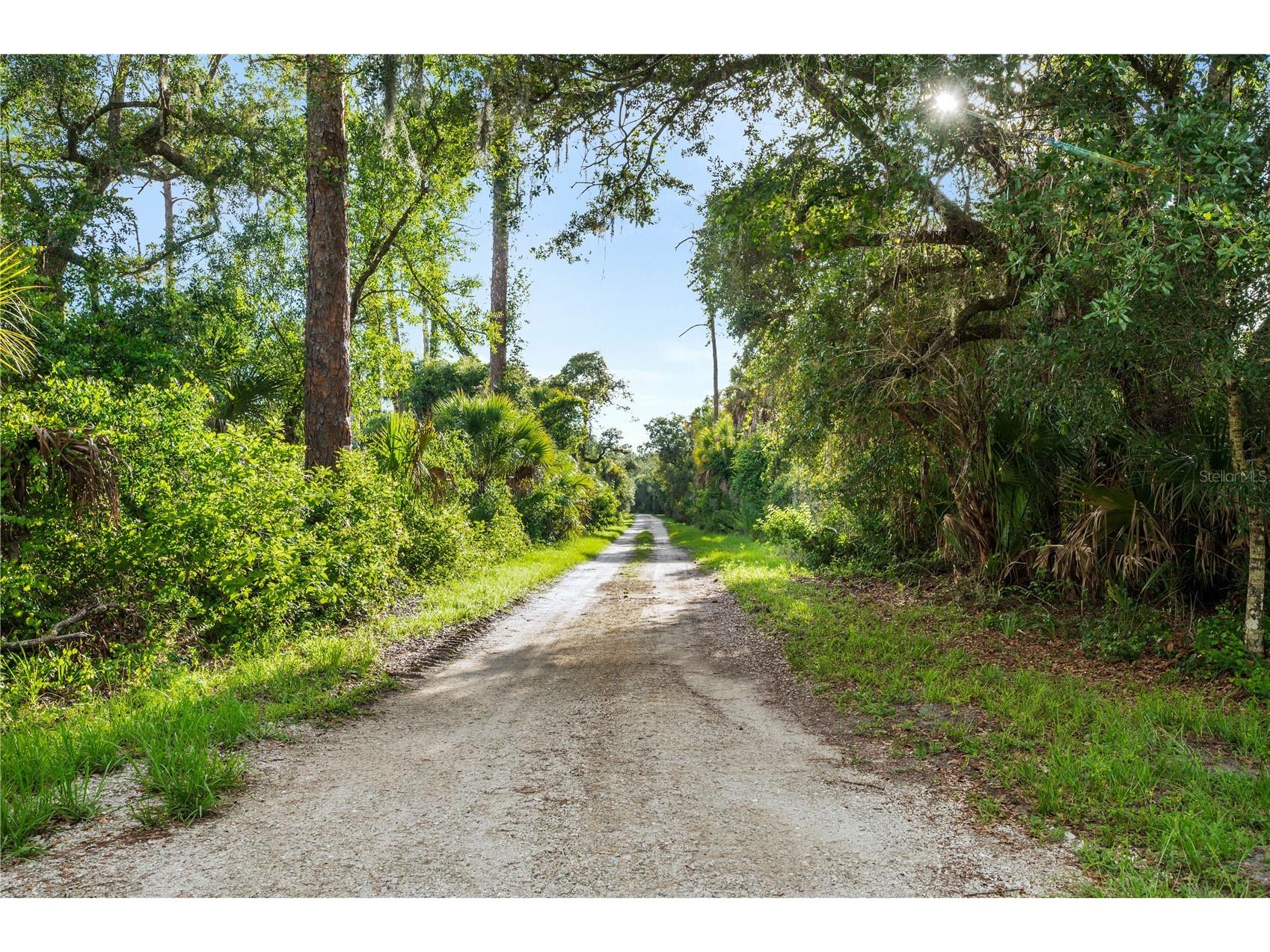Slash Pine Drive North Port FL 34291 C7527342 image22